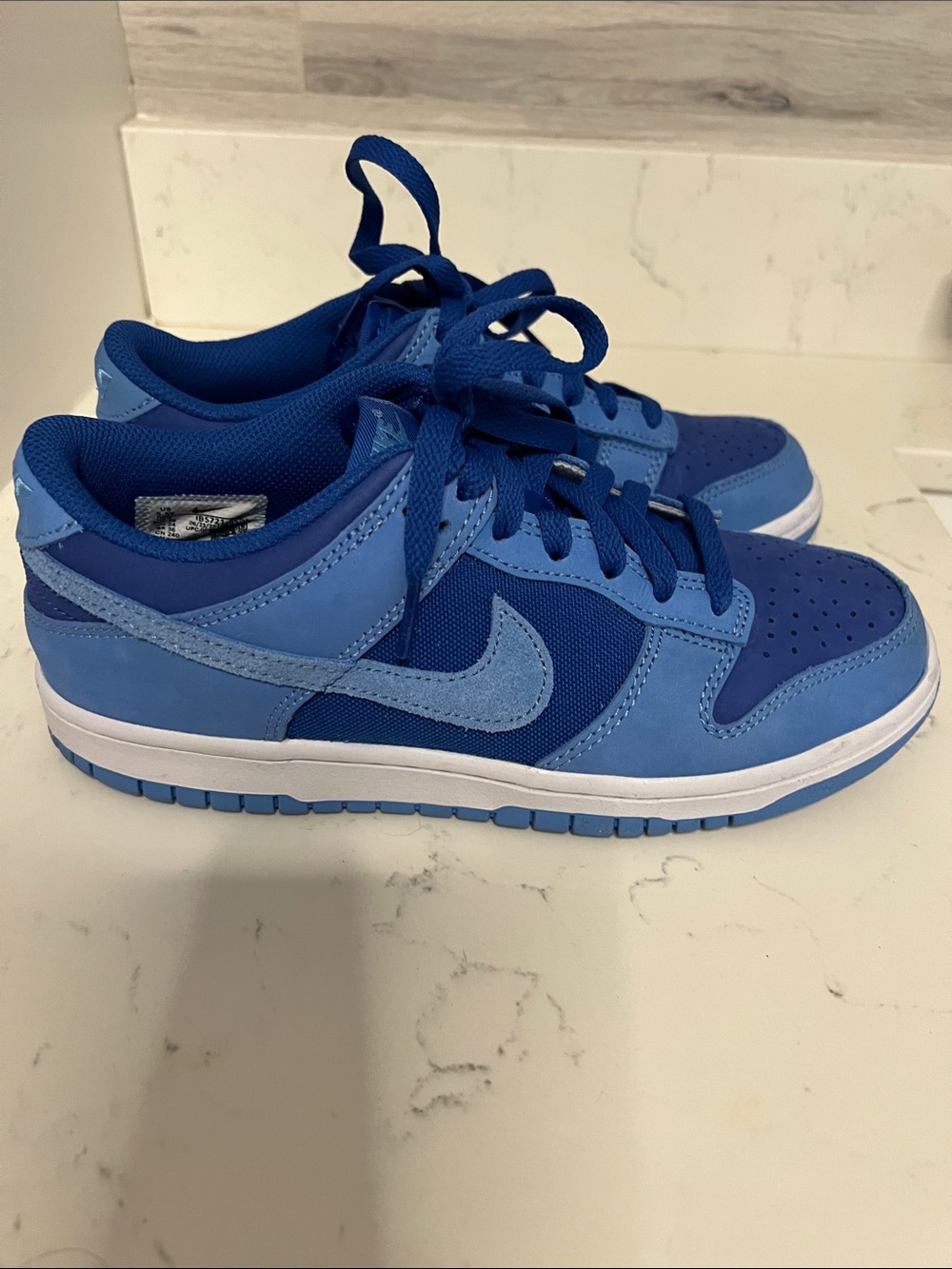 Nike Youth Low-Top Sneakers in Dark and Light Blue